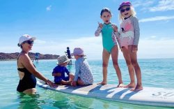 stand up surf shop all rounder sup family north mum kids