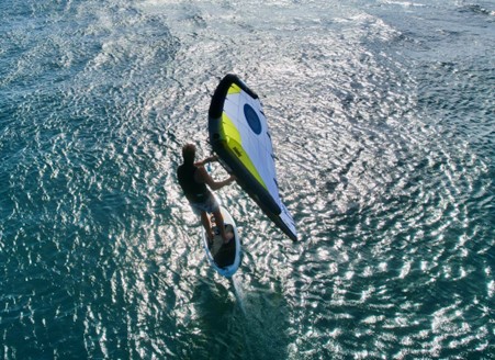 Smik Wing Wing V5 Action